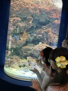 IMG_3152.jpeg