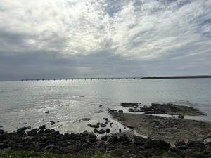 IMG_3021.jpeg