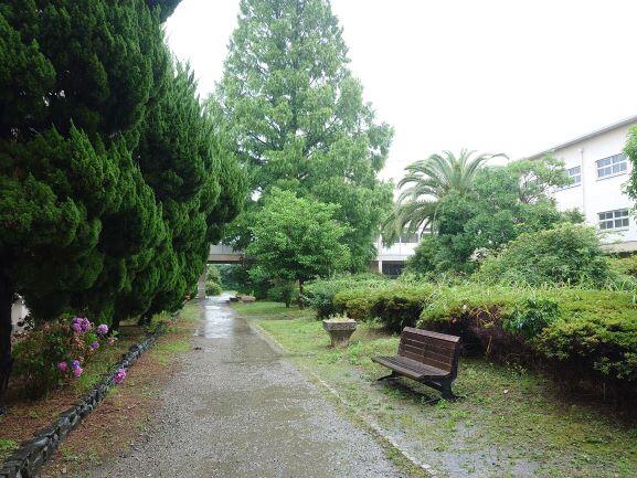 第28号「雨降り」