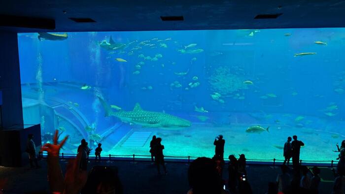 美ら海水族館