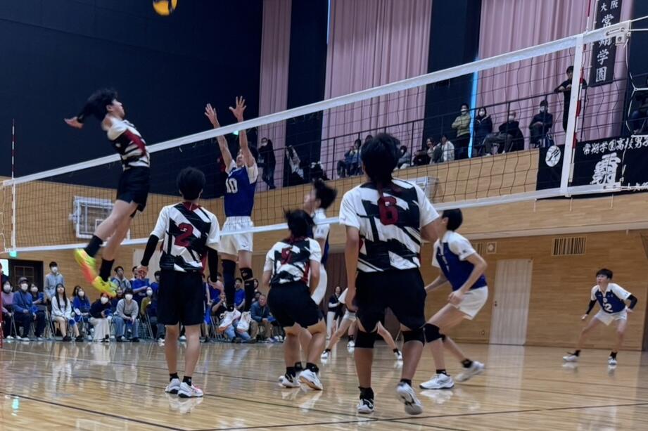mvolley03.jpeg
