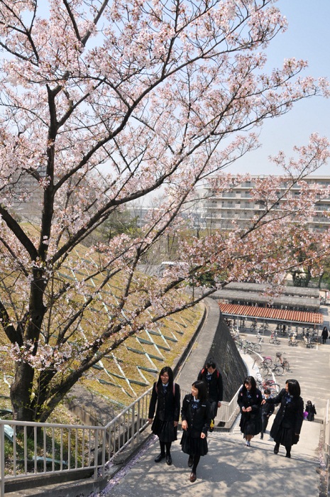 2014040806.JPG