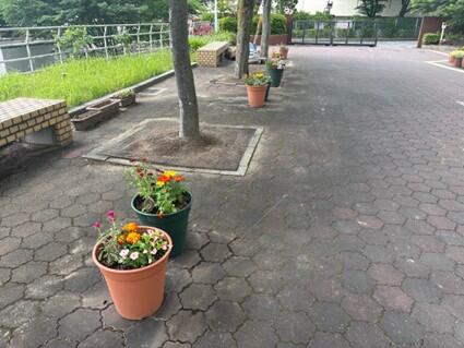 植栽