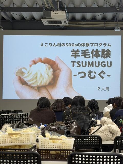 17611134604590.jpg