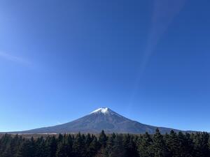 IMG_9244.jpeg