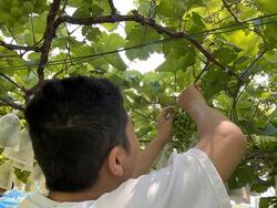 s-IMG_1983.jpg