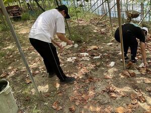 s-IMG_1247.jpg