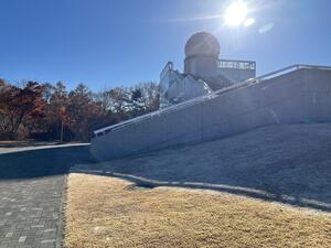 IMG_9240.jpeg