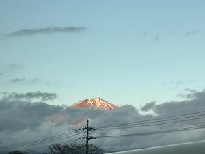 IMG_9209.jpeg