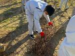 s-IMG_0466.jpg