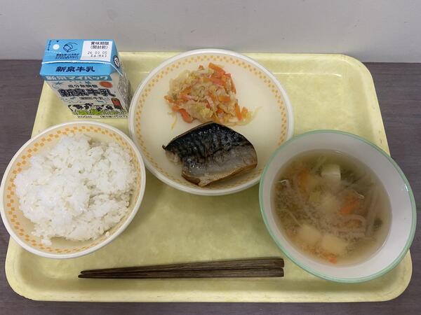 IMG_4997.jpeg