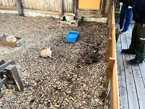 IMG_9208.jpeg