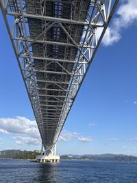 IMG_3740.jpeg