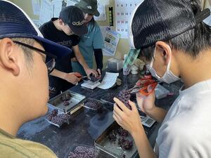 s-IMG_2080.jpg