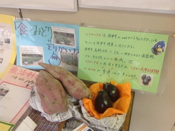 福祉ふぇすた3.jpg