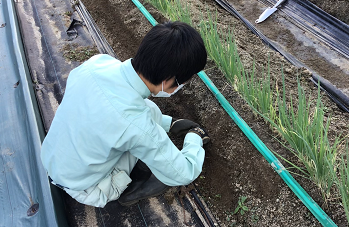 1030 3年食み (1).PNG