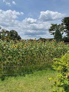 IMG_2534.jpg