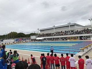 水泳近畿大会1.jpg