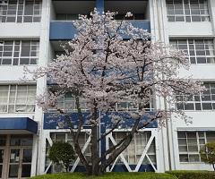 令和４年度がスタート