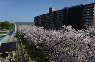 令和３年度がスタート