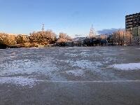 １月２８日(土) 8:00現在 路面の凍結あり 注意してください。