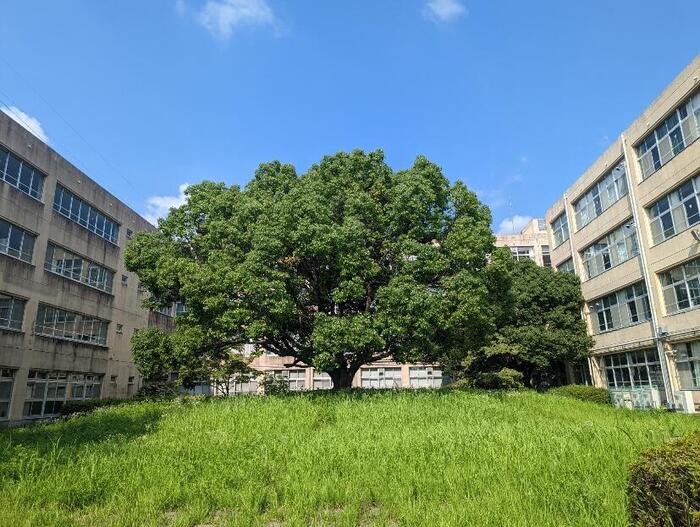 【式典】1学期終業式 ～ 学びの意味と、誇らしい生徒たちの姿～