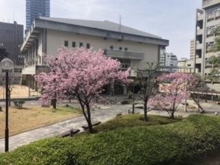 FFD0996D-68E2-411A-909D-7AD4708E3374.jpeg