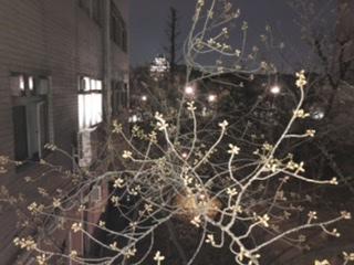 後期終業式を実施しました。