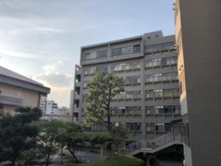 0DF3E32B-A0BB-40B3-8CB9-EDF3251DB429.jpeg