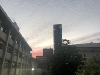 E8DB1AEA-3B1B-4AA2-BE5B-2F80DF07CCF6.jpeg