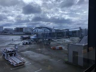 D5F00896-8028-4FEA-B596-D7173BAED686.jpeg