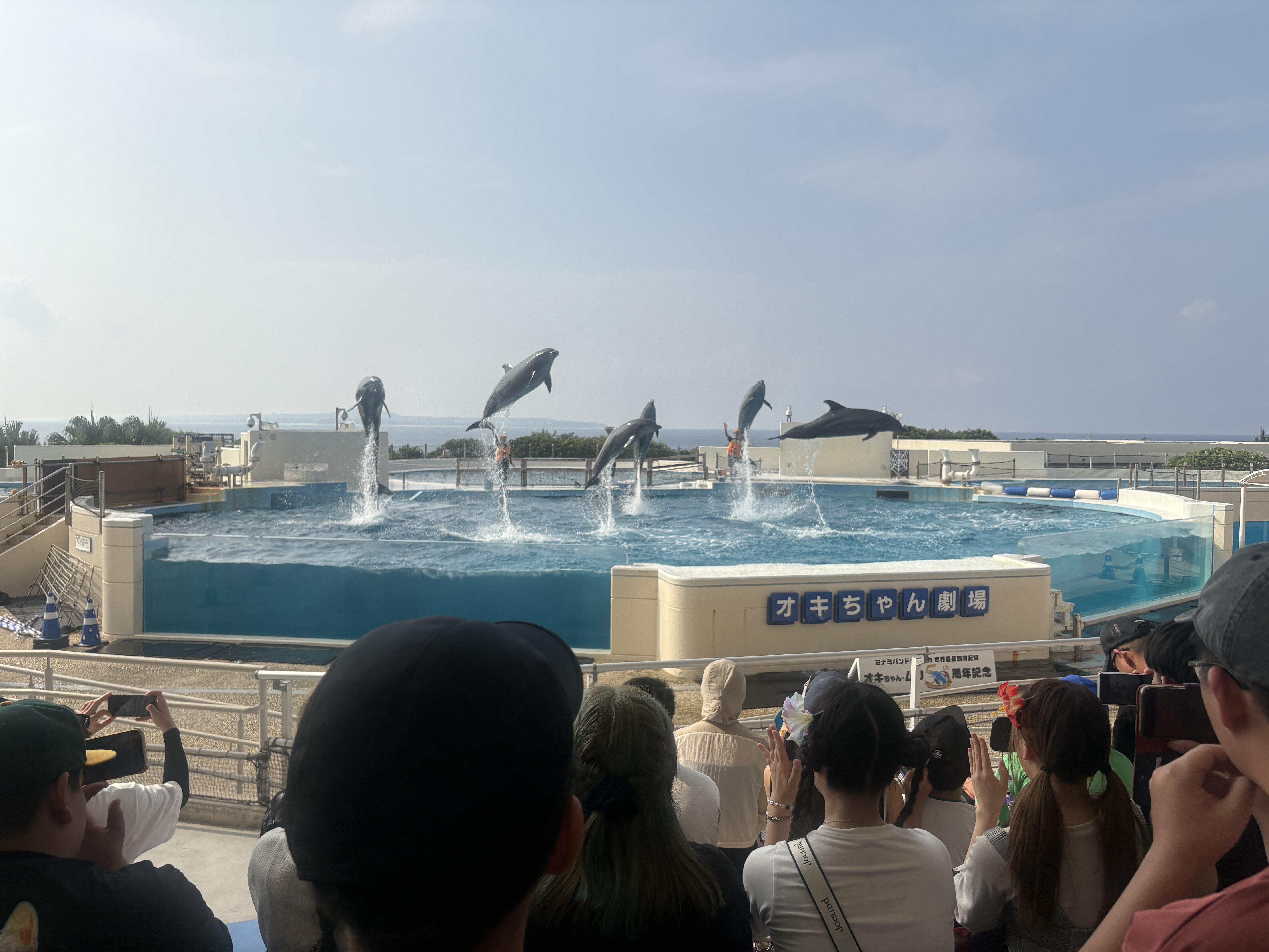 IMG_9264.jpeg