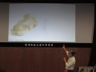 IMG_1550.jpg