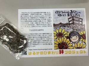 2年生~はるかのひまわりを植えました!
