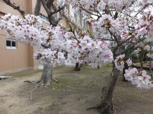 DSCF2060.JPG