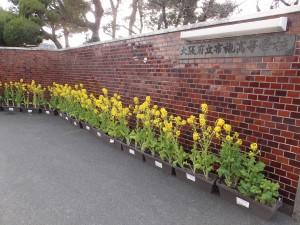 DSCF1585.JPG