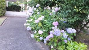 DSCF1344.JPG