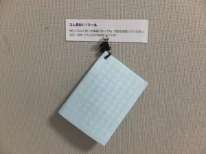 DSCF2154.JPG