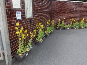 DSCF2560.JPG