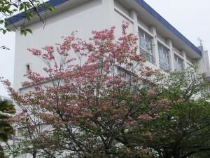 DSCF2106.JPG