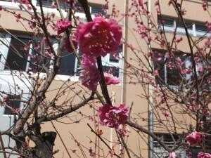 DSCF2048.JPG