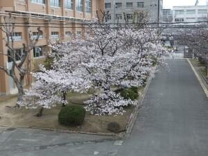 DSCF2059.JPG