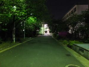 DSCF1668.JPG