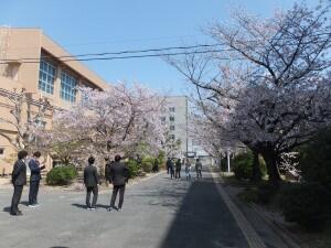 DSCF2061.JPG