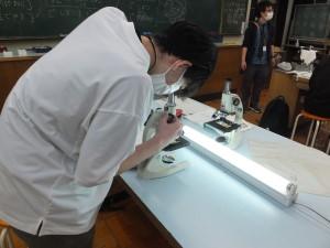 生物実験