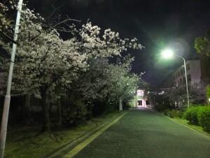 令和5年度(新年度)が始まりました!