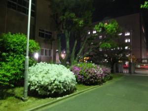 繋がりを大切にしよう