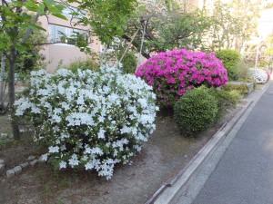 DSCF1663.JPG