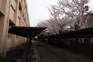 平成31年度「第69回入学式」を挙行しました。