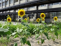 DSC03825.JPG